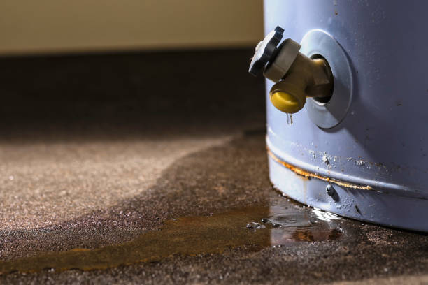 Best Sewage cleanup and water damage restoration  in Chicopee, MA