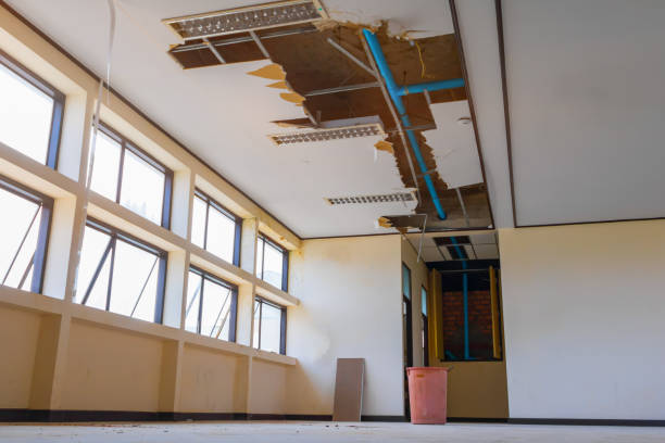Best Sewage cleanup and water damage restoration  in Chicopee, MA