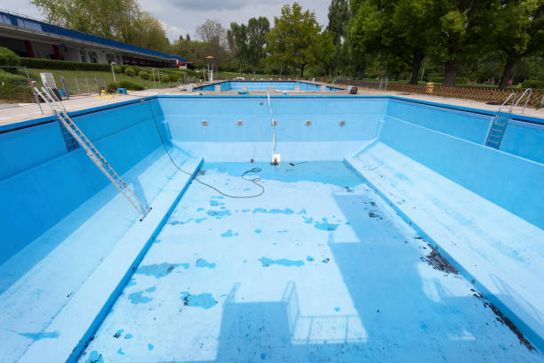 Best Basement water damage restoration  in Chicopee, MA