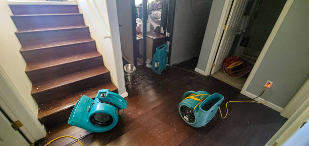 Best Flooded house restoration  in Chicopee, MA
