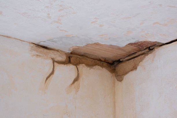 Chicopee, MA Water damage restoration Company