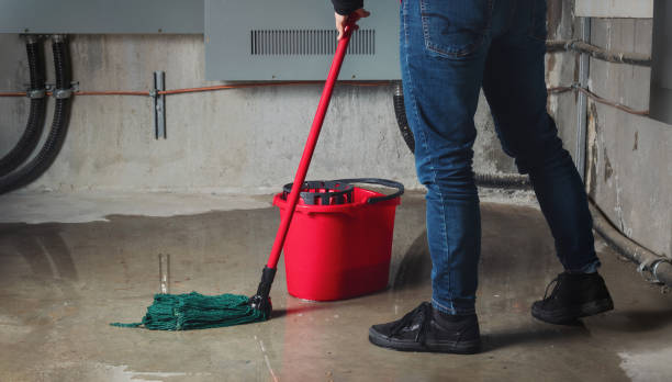 Best 24-hour water damage restoration  in Chicopee, MA