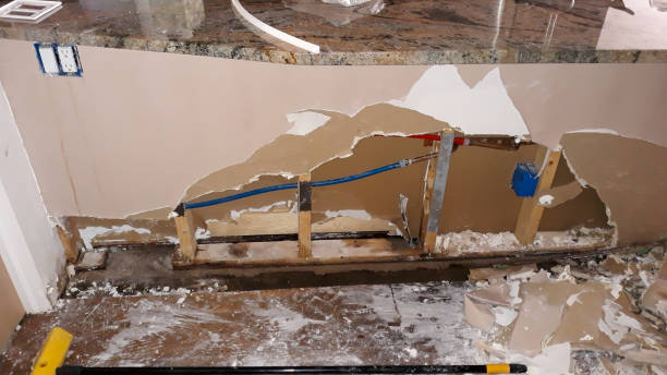 Best Water damage cleanup near me  in Chicopee, MA