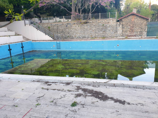 Best Flood restoration services  in Chicopee, MA