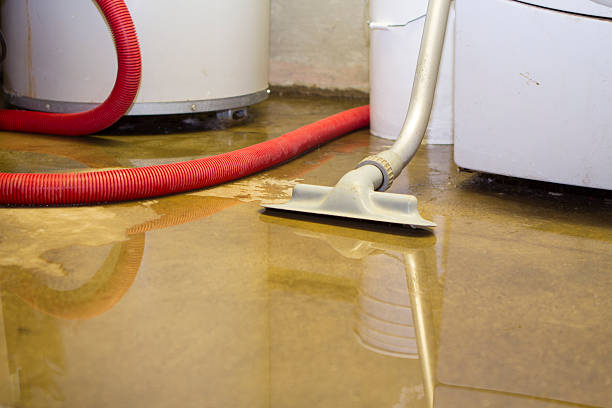 Best Water damage restoration near me  in Chicopee, MA